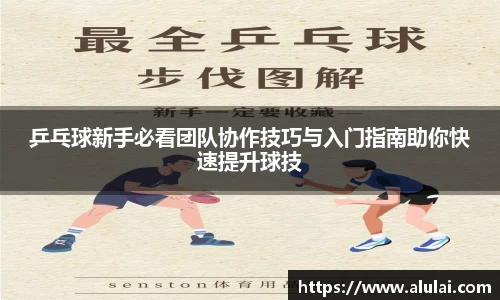 乒乓球新手必看团队协作技巧与入门指南助你快速提升球技