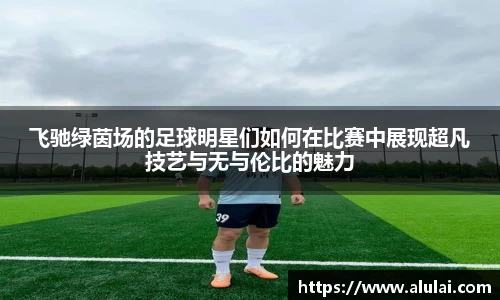 飞驰绿茵场的足球明星们如何在比赛中展现超凡技艺与无与伦比的魅力